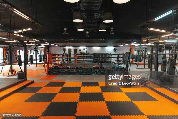 boxclub - boxer stock-fotos und bilder