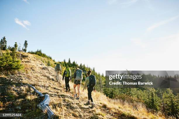 father leading daughters up hill during backpacking trip on fall afternoon - friendly hills stock pictures, royalty-free photos & images