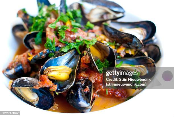 plate of basque mussels - nieuwendijk stock pictures, royalty-free photos & images