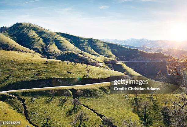 winding mountain road - malibu stock pictures, royalty-free photos & images