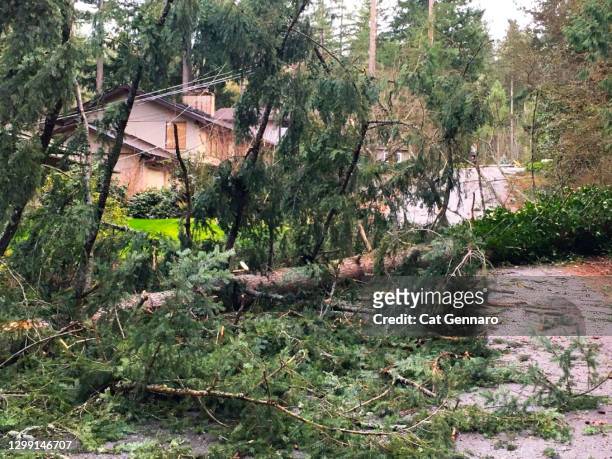 california mudslides damage property after wildfires - mudslides stock pictures, royalty-free photos & images