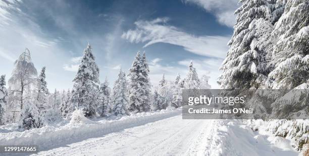 snow covered road through snowy trees and blue sky - snow road stock-fotos und bilder
