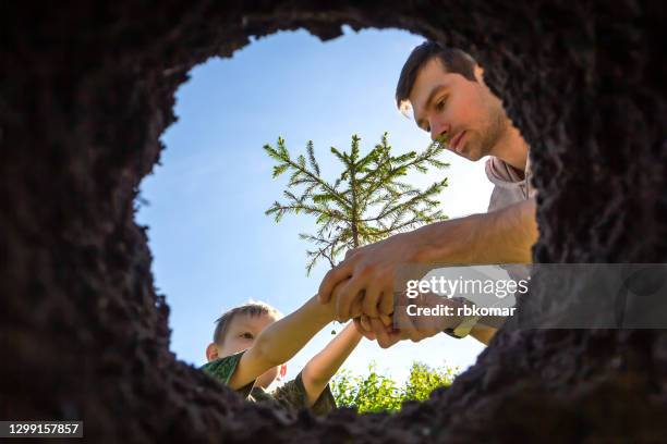 son and father planting plant together in pit in garden. gardening and growing trees and sprouts in soil. - racine terre photos et images de collection