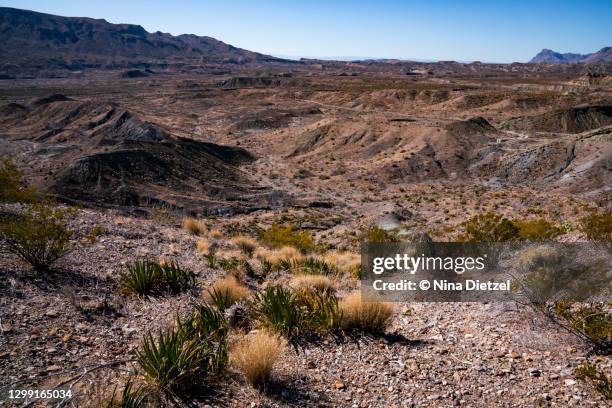 view from black gap road, big bend national park - lechuguilla cactus stock pictures, royalty-free photos & images