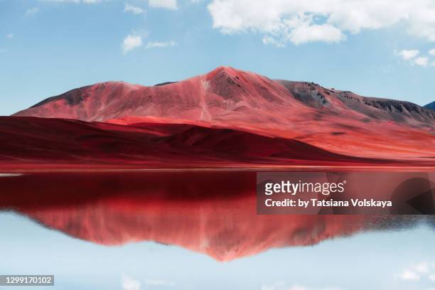 red mountains panorama - symmetry bildbanksfoton och bilder