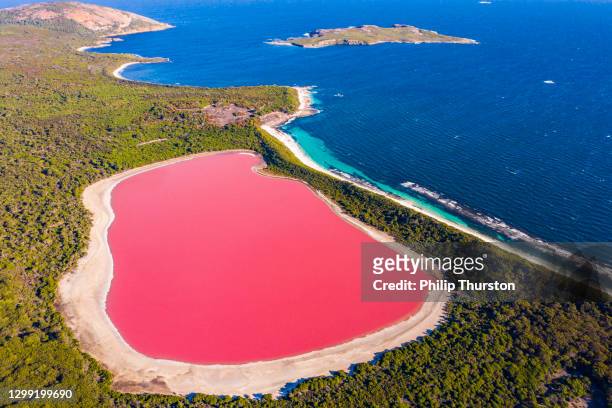 vista aerea del lago rosa sull'isola centrale circondata dall'oceano blu. fenomeno naturale a forte contrasto - lago foto e immagini stock
