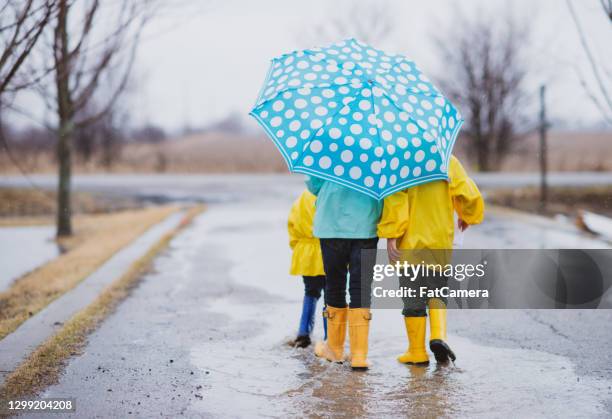 雨の日に屋外を歩く兄弟 - raincoat ストックフォトと画像