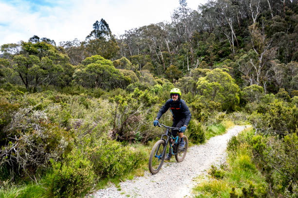 a man mountain bikes through the thredbo valley trail in australia - thredbo stock pictures, royalty-free photos & images