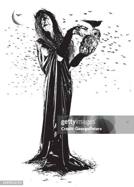 witch, ravens and skulls - white crow stock illustrations