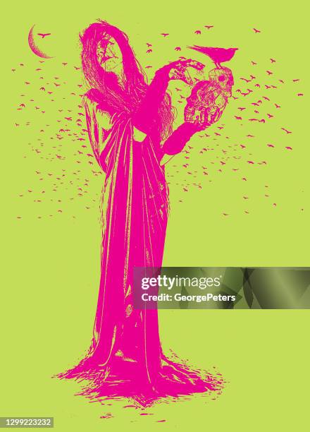 witch, ravens and skulls - voodoo stock illustrations