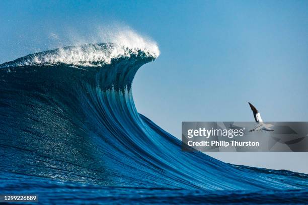 在陽光明媚的日子里，大藍色皺褶波高高站在開闊的海洋中 - large 個照片及圖片檔