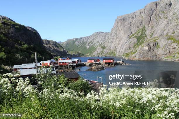 Ancien village de pêcheurs, classé au patrimoine mondial de l'Unesco, 12 juillet 2012, Nusfjord, îles Lofoten, Norvège.