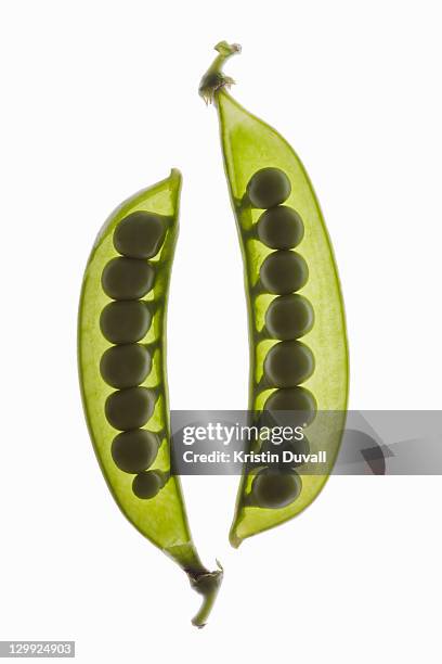 cross section of pea pod - 2 peas in a pod stock pictures, royalty-free photos & images