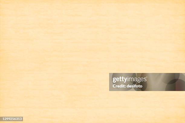 horizontal vector illustration of an empty light brown shade grungy textured wrinkled paper like background - khaki texture stock illustrations