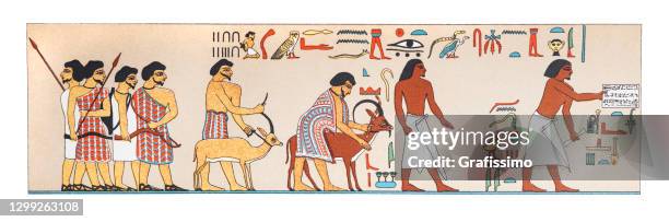illustrations, cliparts, dessins animés et icônes de hiéroglyphes en egypte - osiris