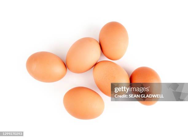 six eggs - óvulo fotografías e imágenes de stock