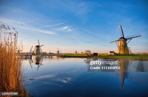 dutch windmills - kinderdijk stock pictures, royalty-free photos & images