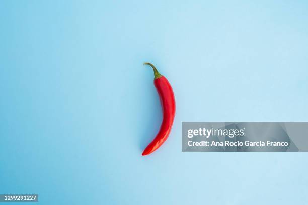 a red chili pepper on the center of a blue background. top view - pimenta de caiena imagens e fotografias de stock