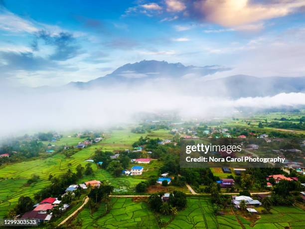 aerial view of mount kinabalu above the clouds- drone point of view - sabah stock pictures, royalty-free photos & images