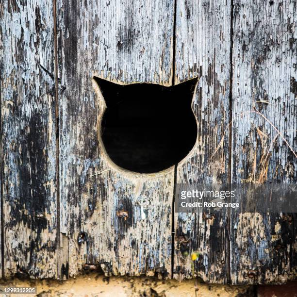 nature reclaiming industry - doggie door stock pictures, royalty-free photos & images