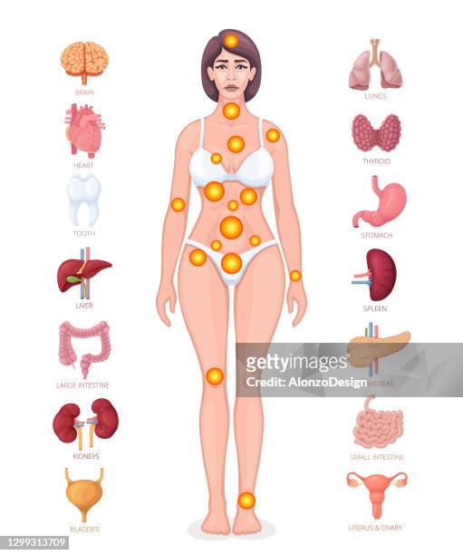 painful points infographic concept. female body. human internal organs. - inflammation woman stock illustrations