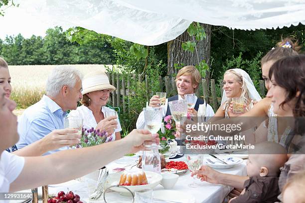 wedding party toasting newlywed couple - babies and smoking stock-fotos und bilder