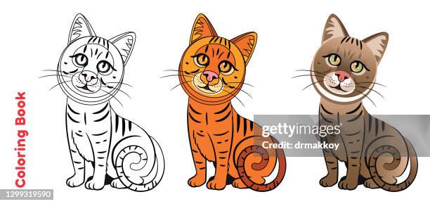 bildbanksillustrationer, clip art samt tecknat material och ikoner med söt kattunge målarbok sida - spräcklig katt