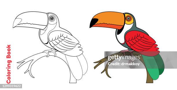 bildbanksillustrationer, clip art samt tecknat material och ikoner med målarbok och toucan - ritblock