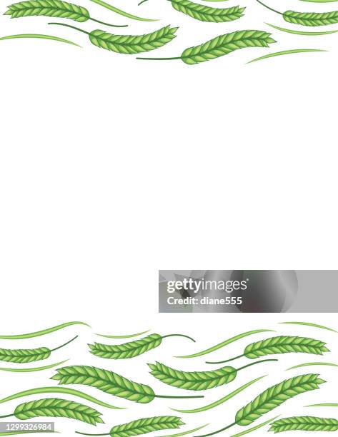 wheat border in green - force field stock illustrations