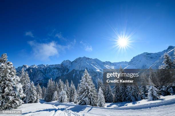 snowcapped trees in ski resort at winter morning - vorarlberg stock pictures, royalty-free photos & images