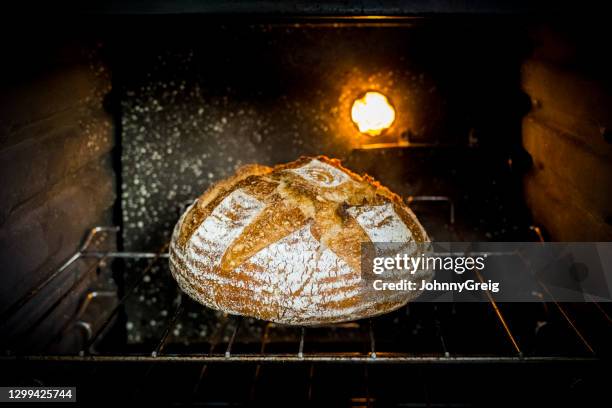 portrait of white country loaf in domestic kitchen oven - round loaf stock pictures, royalty-free photos & images