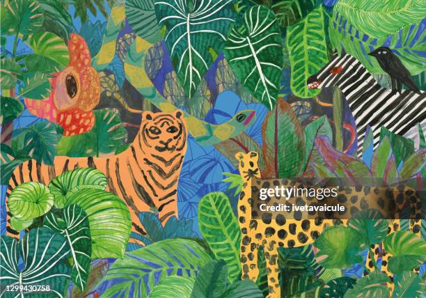 jungle plants - cheetah zebras stock illustrations