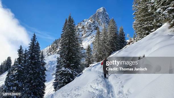 winter hike through fresh powder and next to snow covered trees - schneeschuh stock-fotos und bilder