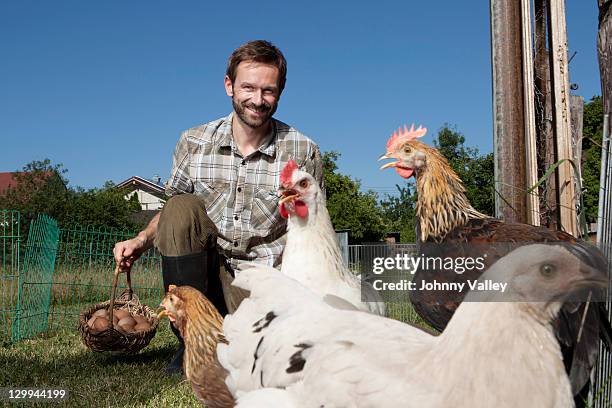 man feeding chickens outdoors - bauer bayern stock-fotos und bilder