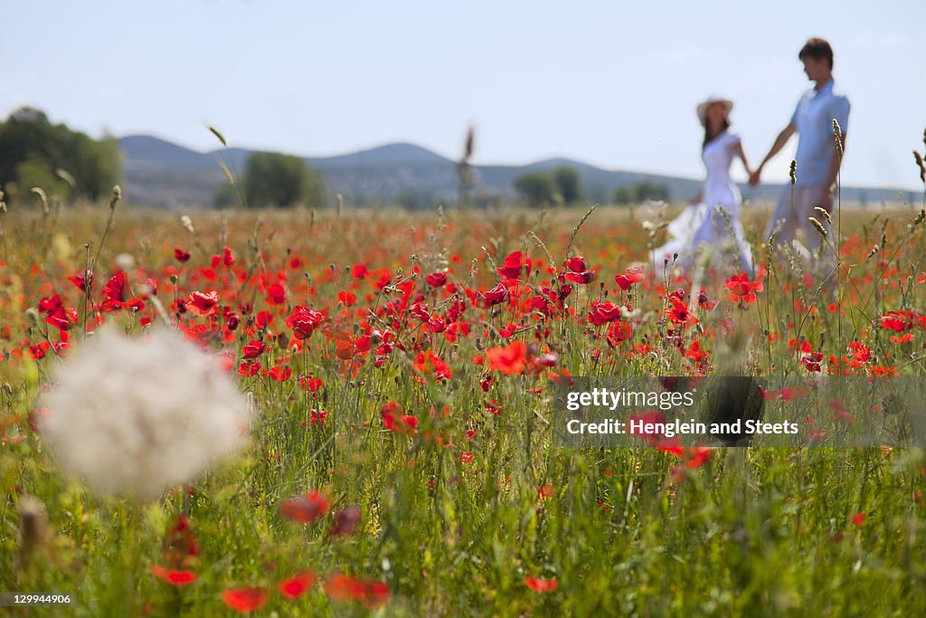 Couple walking in field of poppies