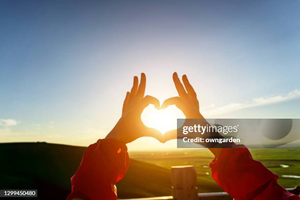 in love with the landscape - hands sun stock pictures, royalty-free photos & images