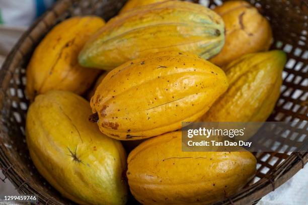 cocoa pots from vietnam - polvo de cacao fotografías e imágenes de stock