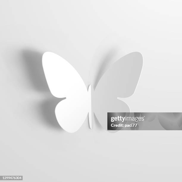 illustrazioni stock, clip art, cartoni animati e icone di tendenza di origami farfalla con carta bianca - farfalle