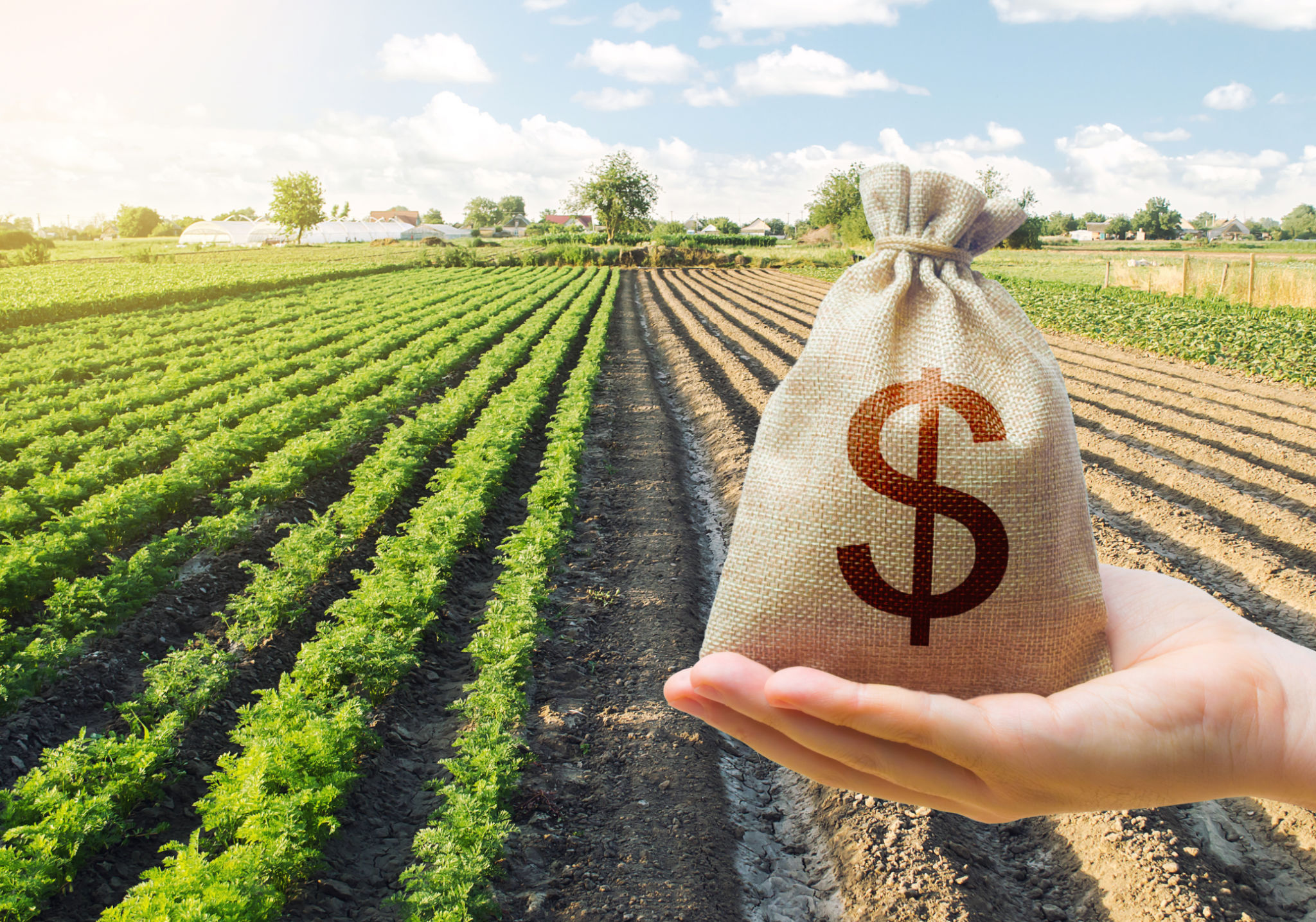 farm debts
