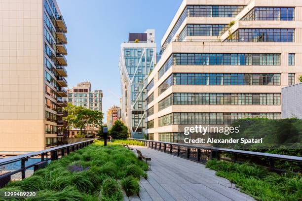 high line park on a sunny day, new york city, usa - manhattan new york city stock pictures, royalty-free photos & images