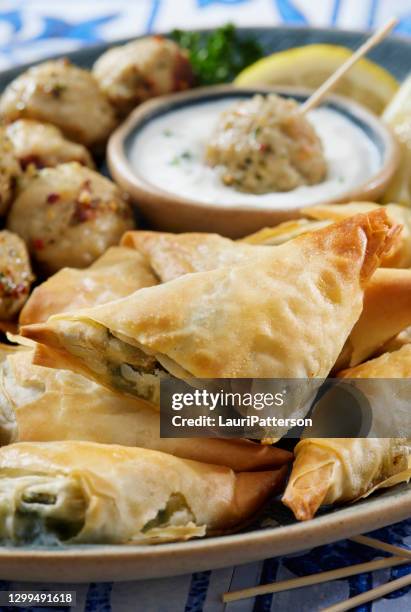 spanakopita und griechischer stil türkei fleischbällchen - tzatziki stock-fotos und bilder