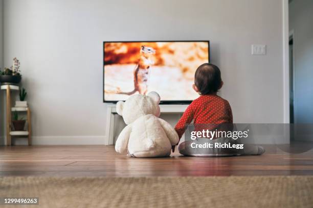 baby und bär fernsehen - life of teddy stock-fotos und bilder