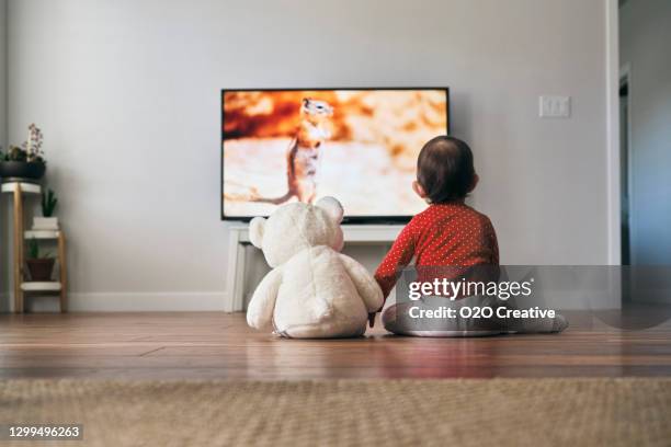 baby och björn tittar på tv - watching tv bildbanksfoton och bilder