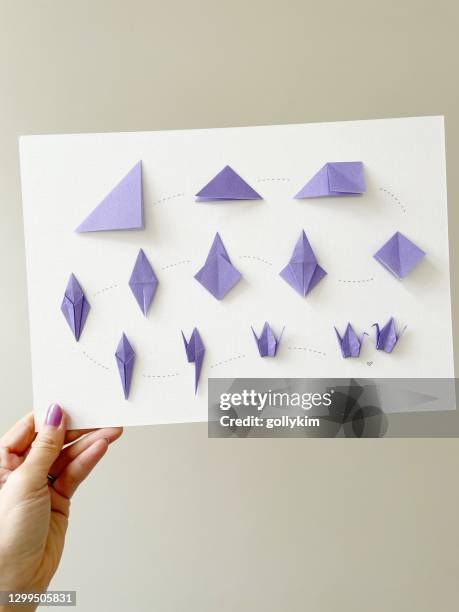 donna mano tenendo passo dopo passo gru di carta origami bordo - origami a forma di gru foto e immagini stock