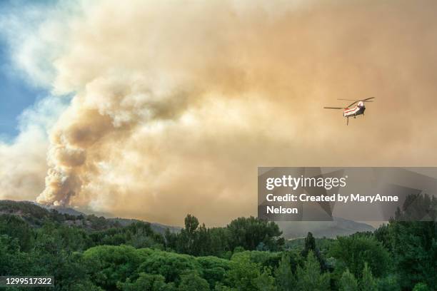 helicopter loaded with water for forest fire - wildfires colorado stock pictures, royalty-free photos & images