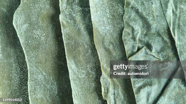 close-up on a row of dried "kombu" sheets - kombu stock pictures, royalty-free photos & images