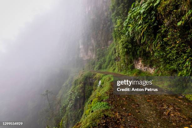 the death road - the most dangerous road in the world, north yungas, bolivia. - bolivia photos et images de collection