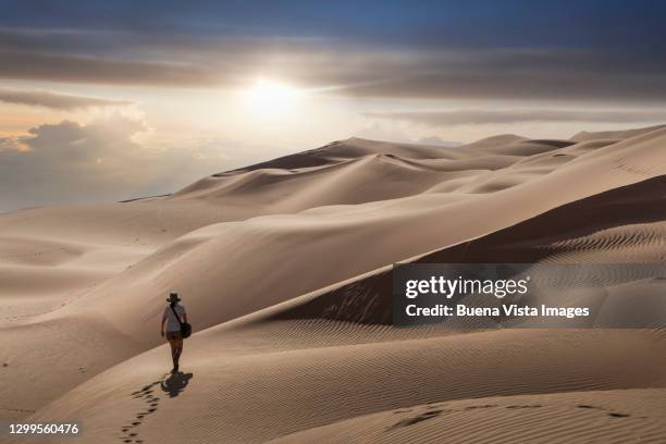 woman walking on a sand dune at sunset - hot arab women stock-fotos und bilder