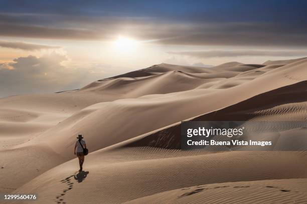 woman walking on a sand dune at sunset - hot arabian women stock pictures, royalty-free photos & images