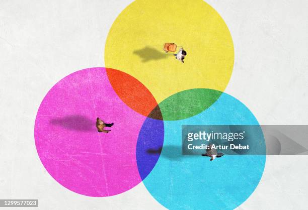 people from above inside colorful circles with social distancing. - kleine personengruppe stock-fotos und bilder